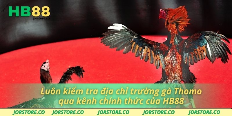 Luôn kiểm tra địa chỉ trường gà Thomo qua kênh chính thức của HB88