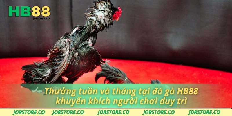 Thưởng tuần và tháng tại đá gà HB88 khuyến khích người chơi duy trì