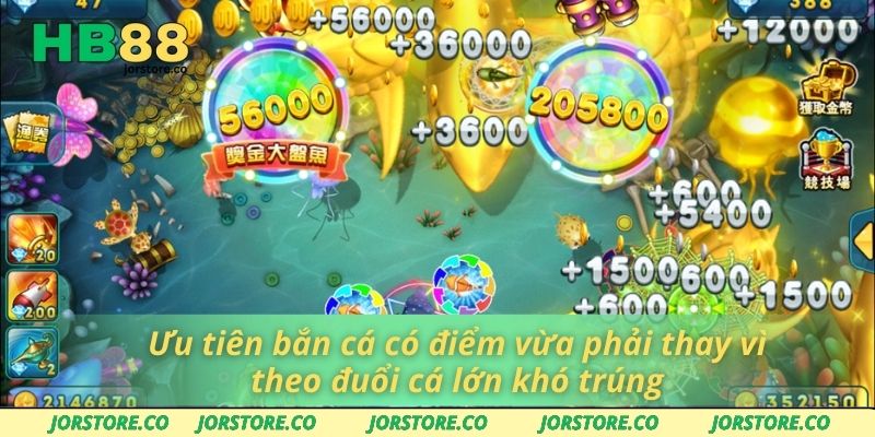 Ưu tiên bắn cá có điểm vừa phải thay vì theo đuổi cá lớn khó trúng